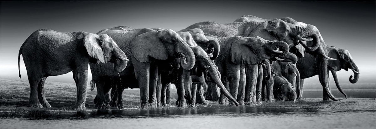 Herd of Giants-1000 Pieces, Panoramic adults puzzle Herd of Giants-1000 Pieces, Panoramic Herd of Giants-1000 Pieces, Panoramic CLEMENTONI