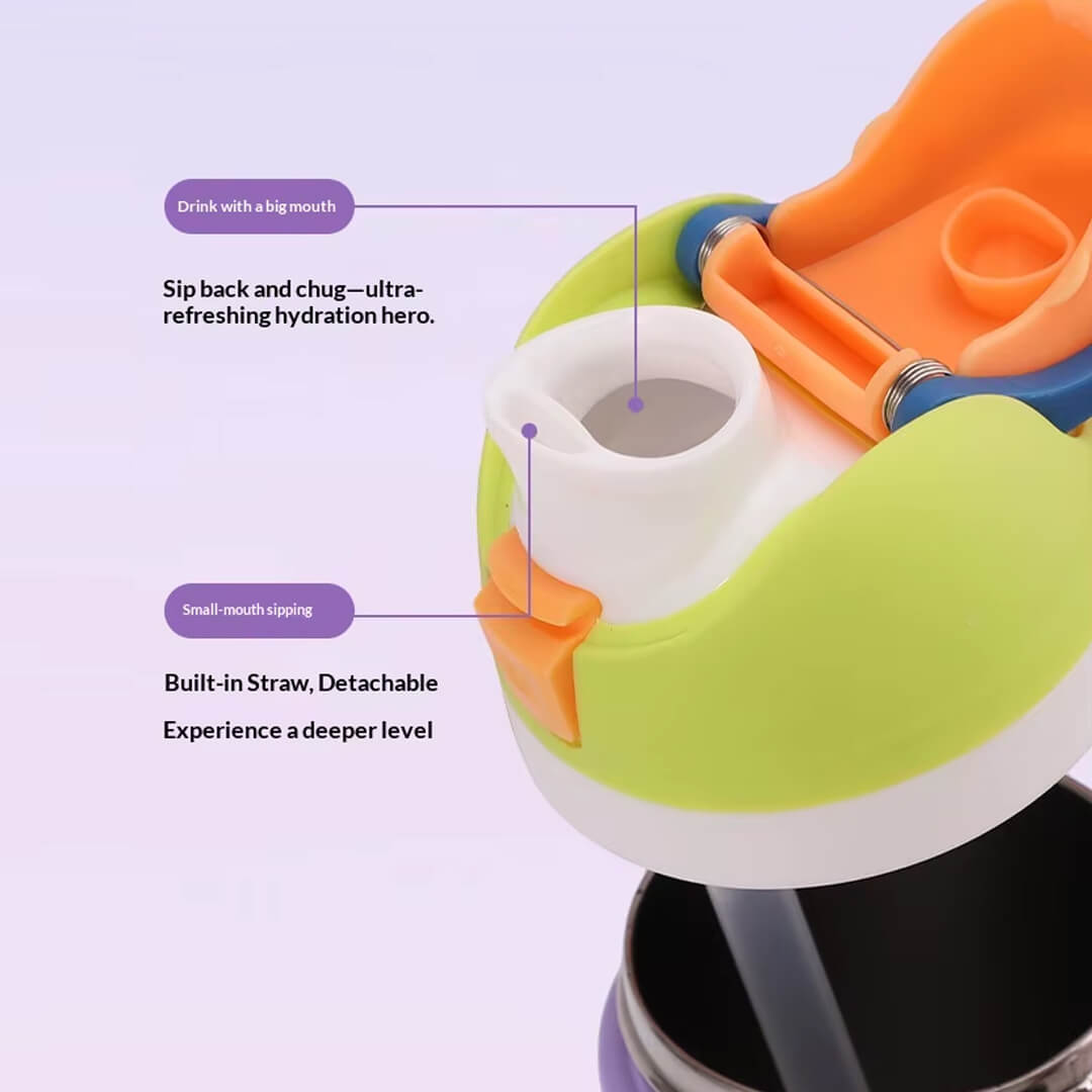Leakproof stainless steel bottle with built-in detachable straw