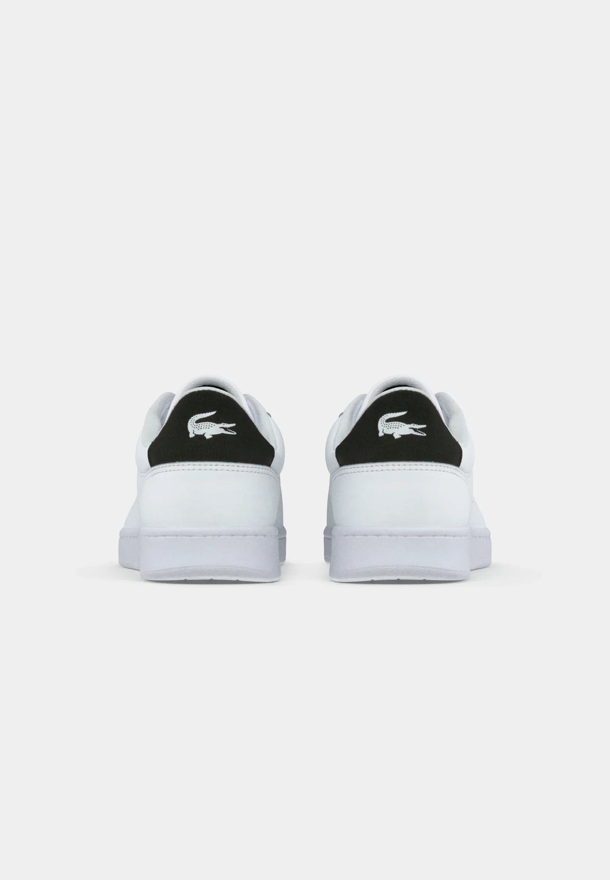 Lacoste - CARNABY SET 125 Baskets basses