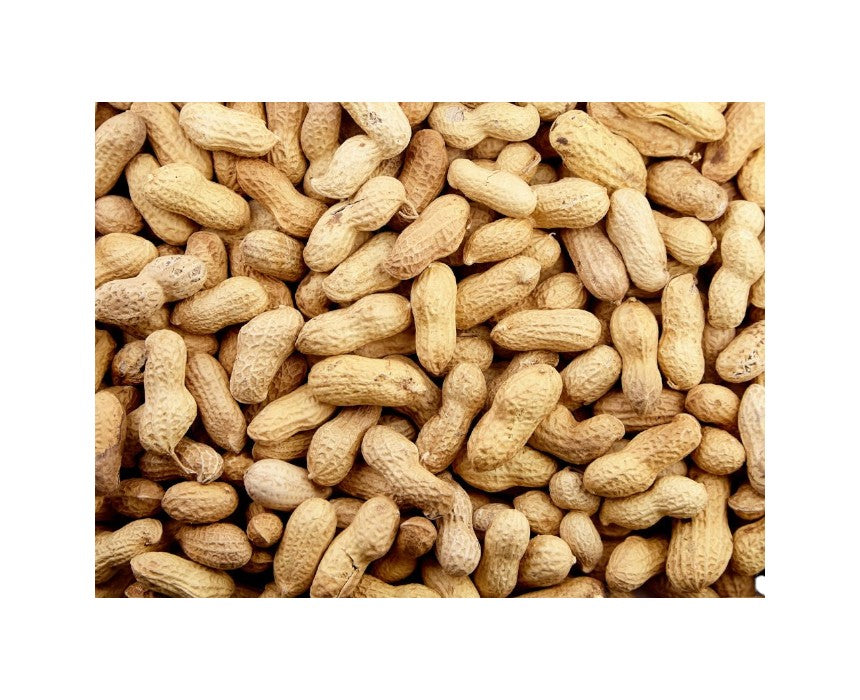 Peanuts In Shell