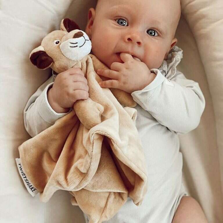 The German Outlet, Twistshake, Comfort Doudou