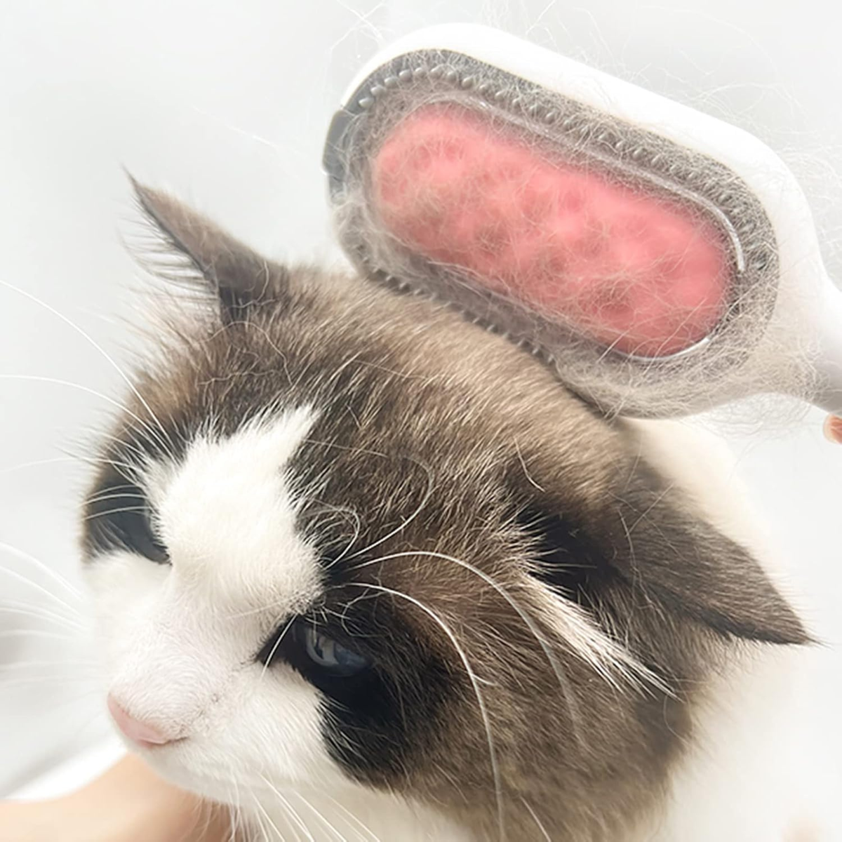 Reusable Pet Hair Removal Brush
