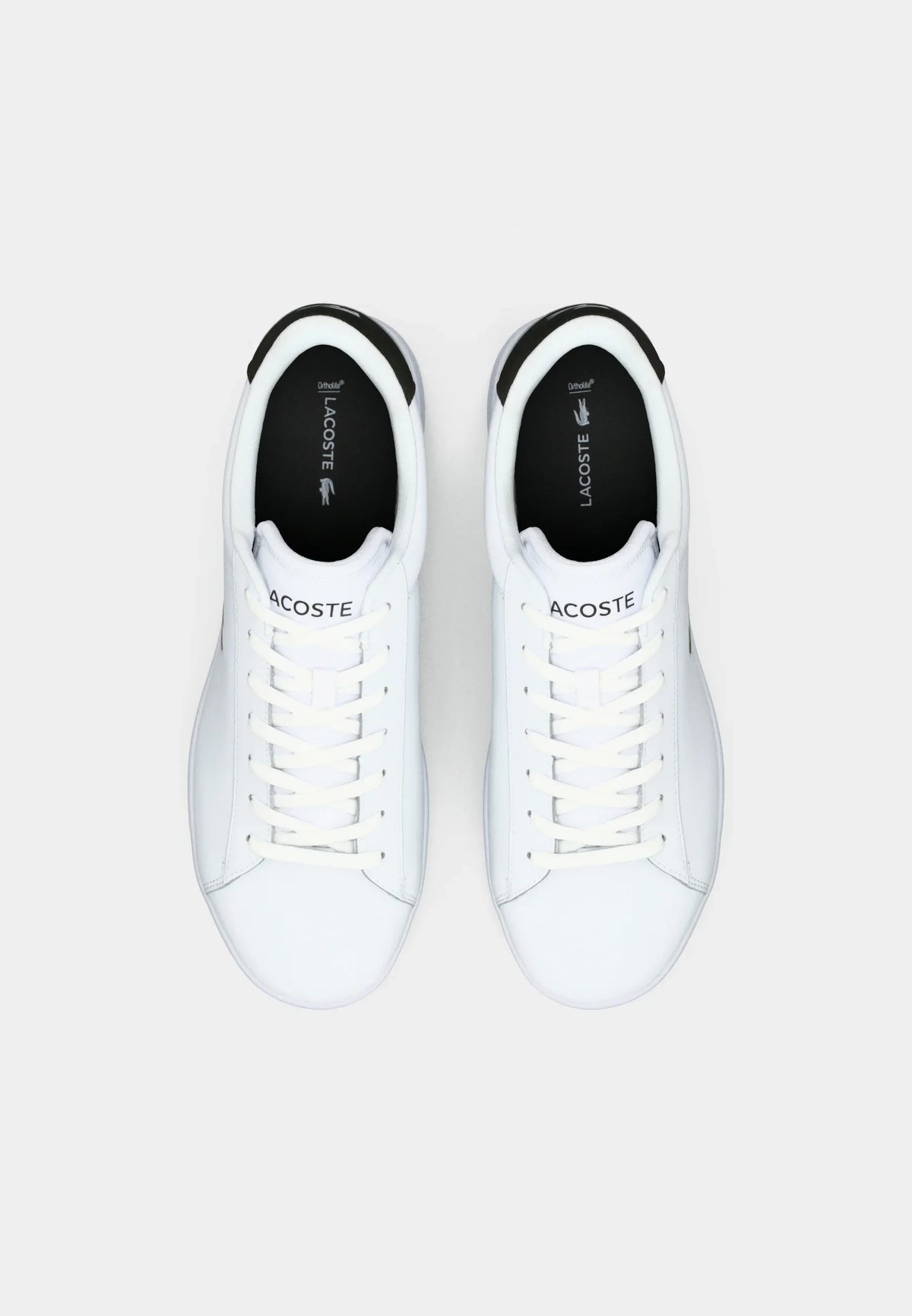 Lacoste - CARNABY SET 125 Baskets basses
