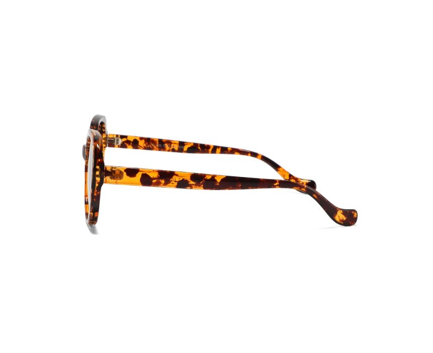 Wild Tortoise Women Sunglasses
