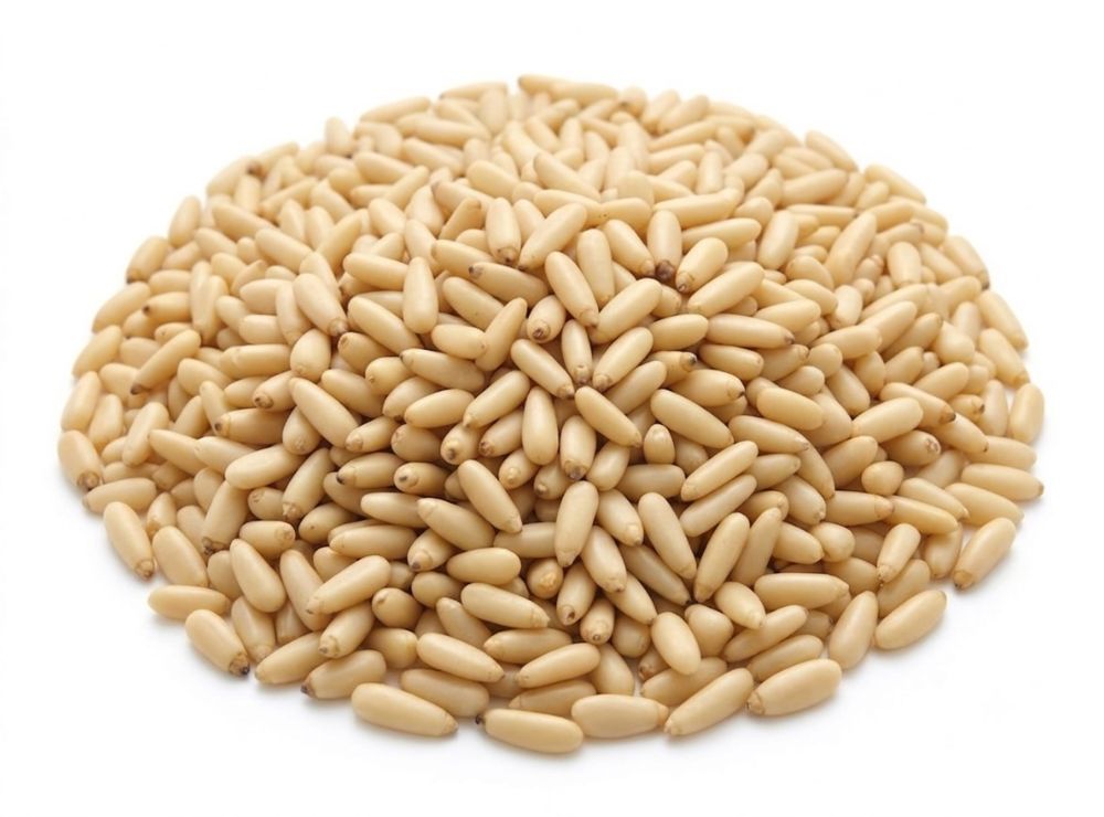 Pine Seeds