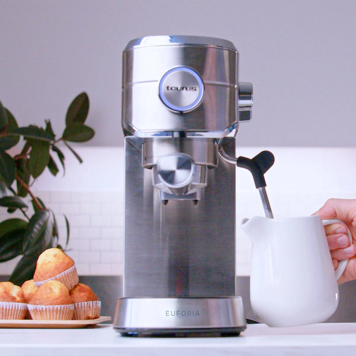 Euforia Espresso Machine Coffee machine Euforia Espresso Machine Euforia Espresso Machine Taurus