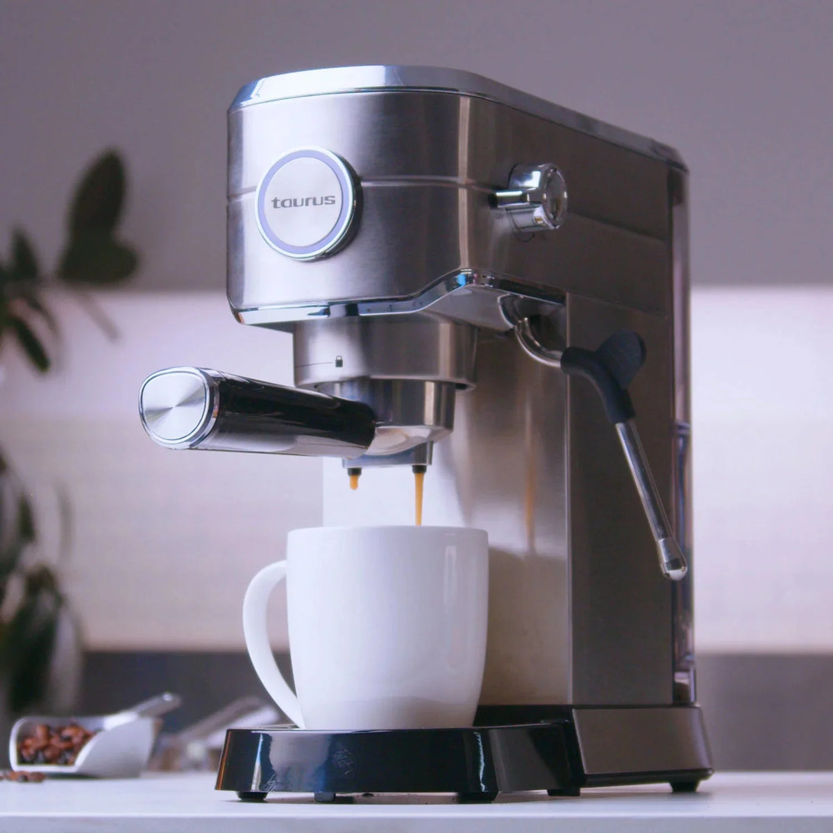 Euforia Espresso Machine Coffee machine Euforia Espresso Machine Euforia Espresso Machine Taurus