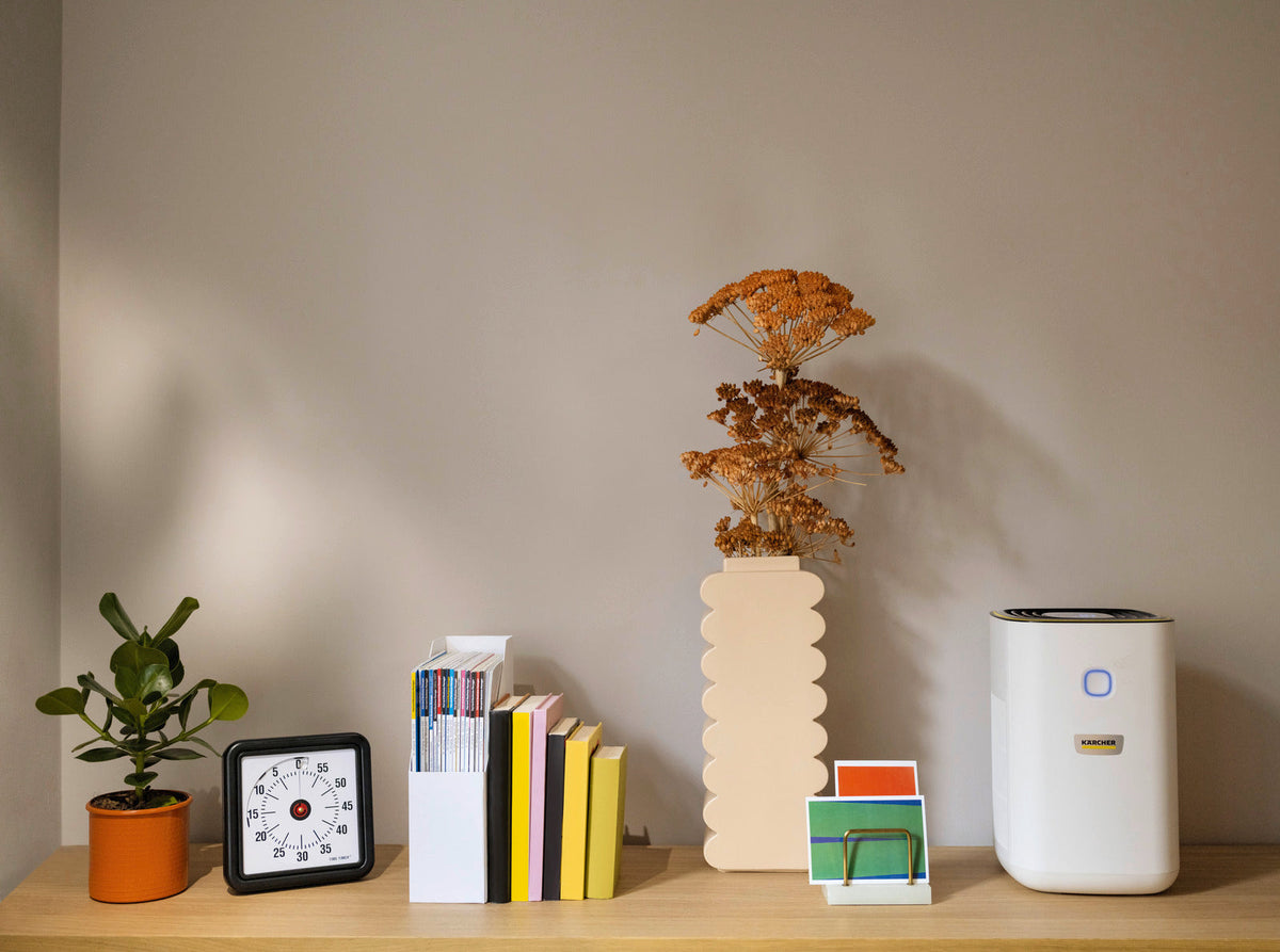 AF 20 Air Purifier