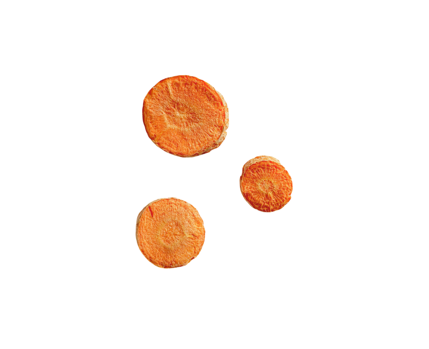 Berries & Bushes Freeze Dried Carrots