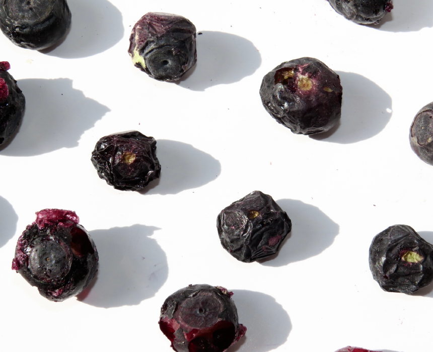 Berries & Bushes Freeze Dried Blueberry