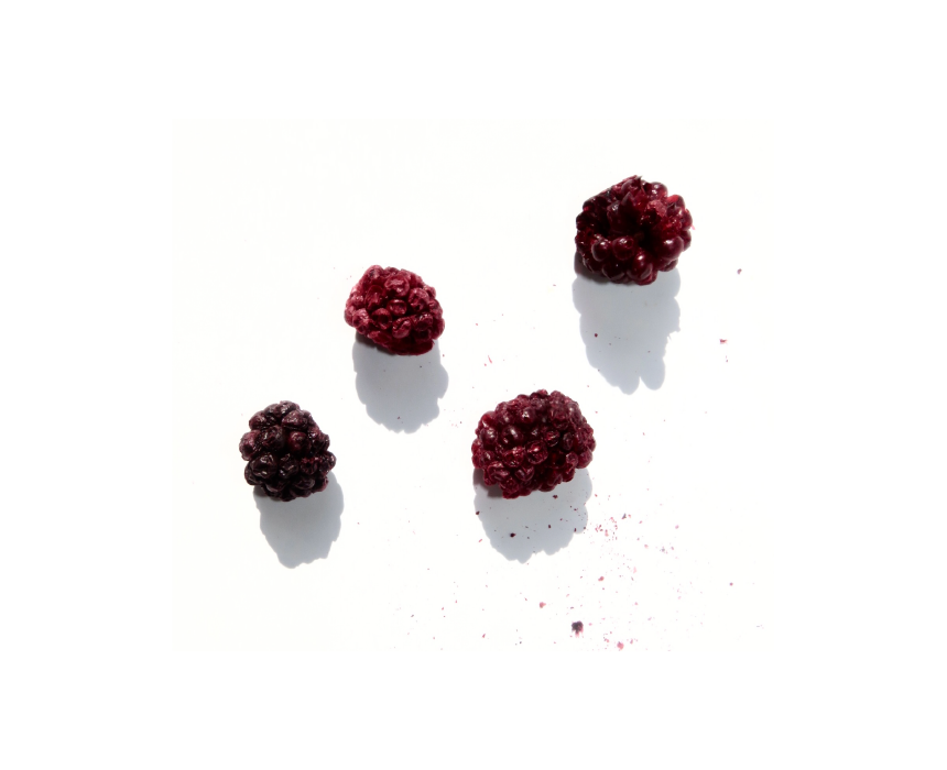 Berries & Bushes Freeze Dried Blackberry
