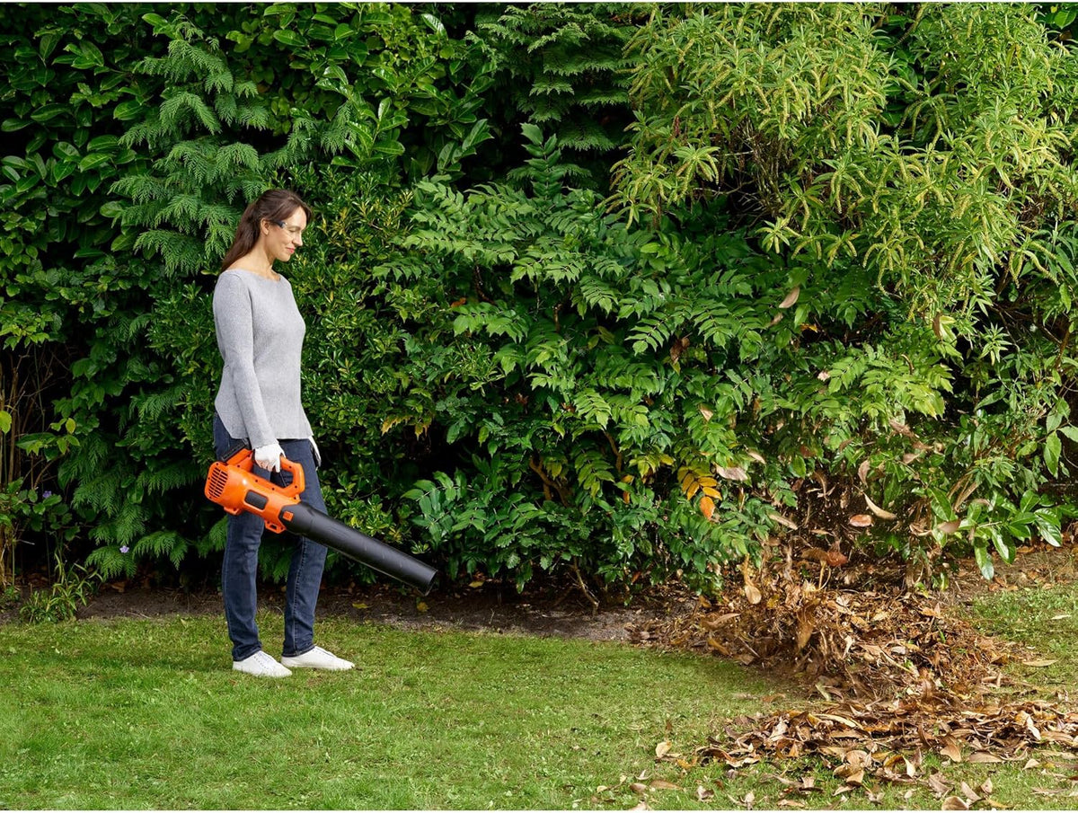 Black + Decker Axial Cordless Blower 18V