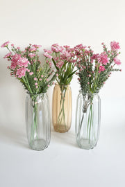 Transparent Glass Vase