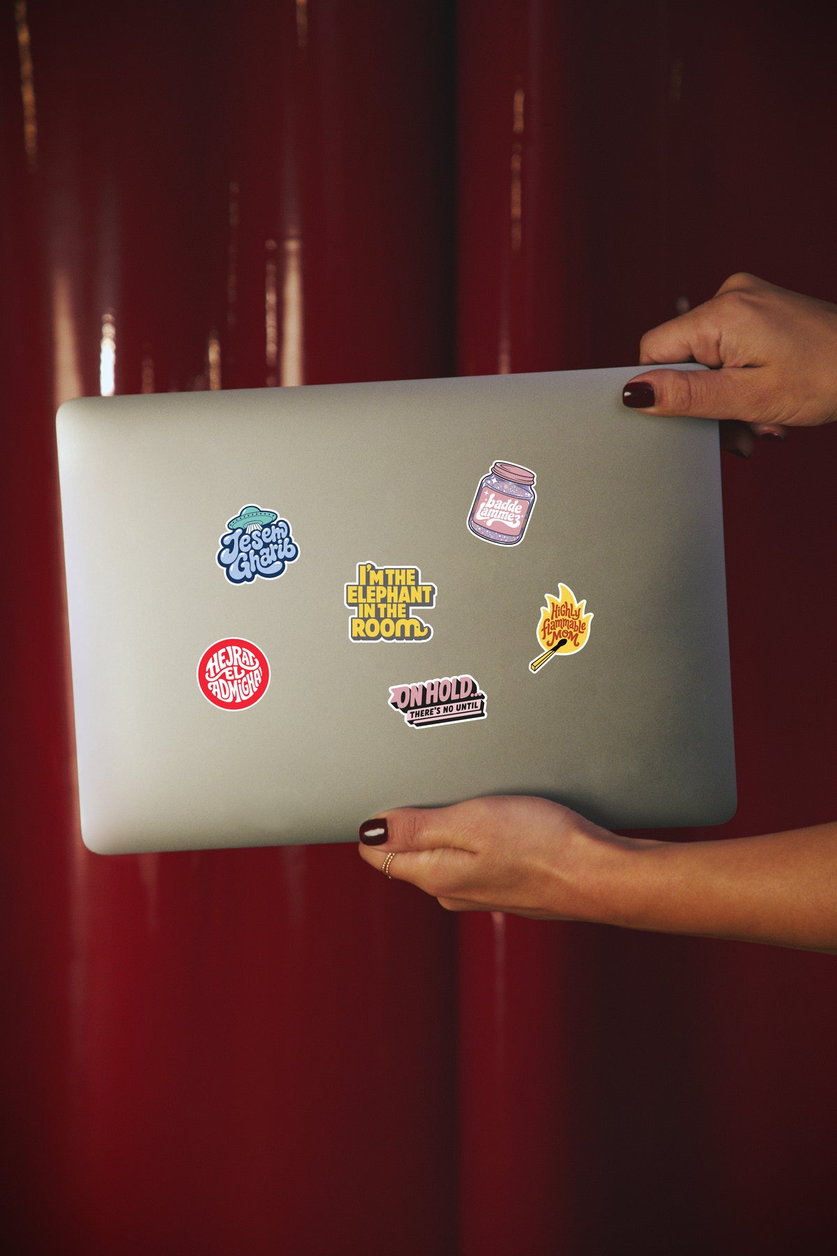 Pack of 6 Stickers for Laptops and Phone Covers