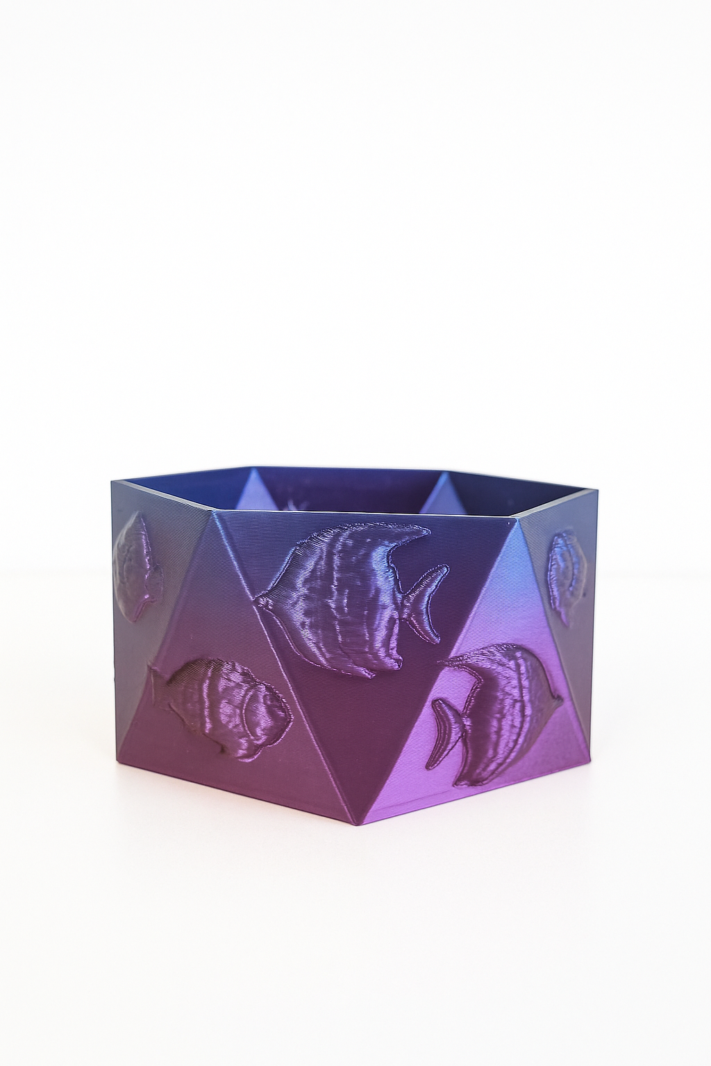 Plant Pot