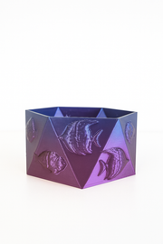 Plant Pot