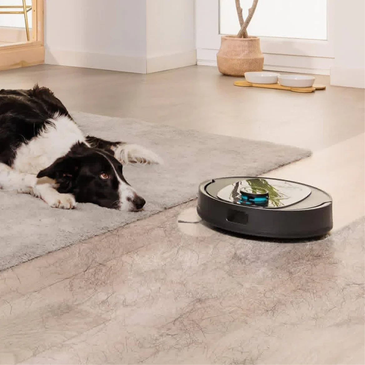 Conga 7690 Immortal Max Home M Vacuum Cleaner Conga 7690 Immortal Max Home M Conga 7690 Immortal Max Home M Cecotec