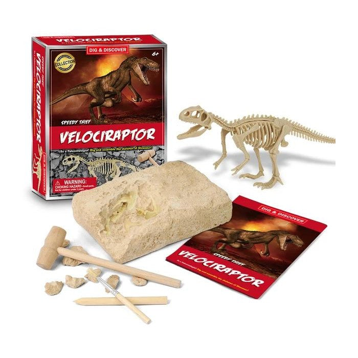 Dig & Discover Assorted by Playmates Toys