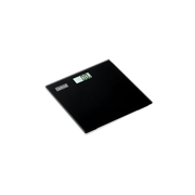 Electronic Personal Scale