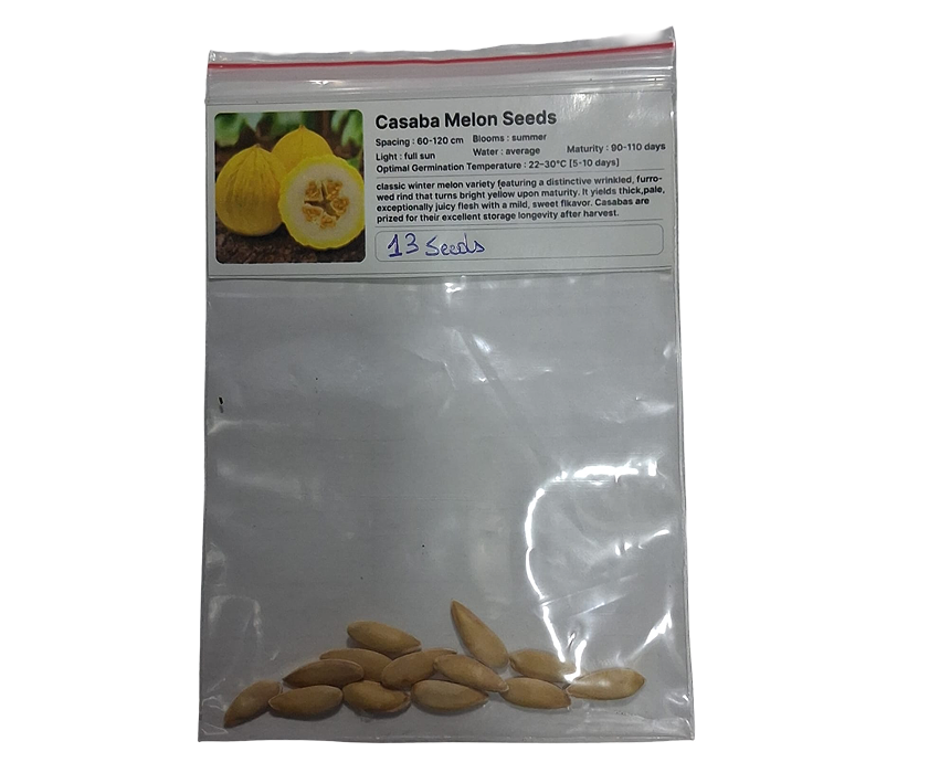 Casaba Melon Seeds