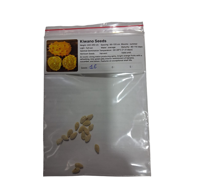 Elie Douaihy Seeds