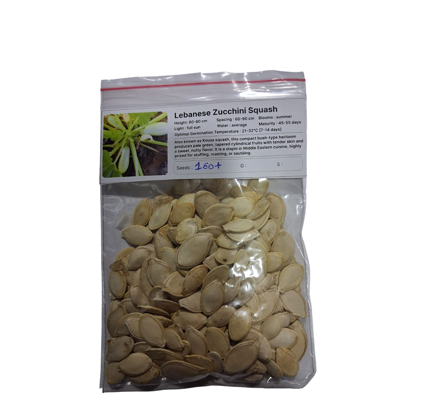 Lebanese Zucchini Squash Seeds