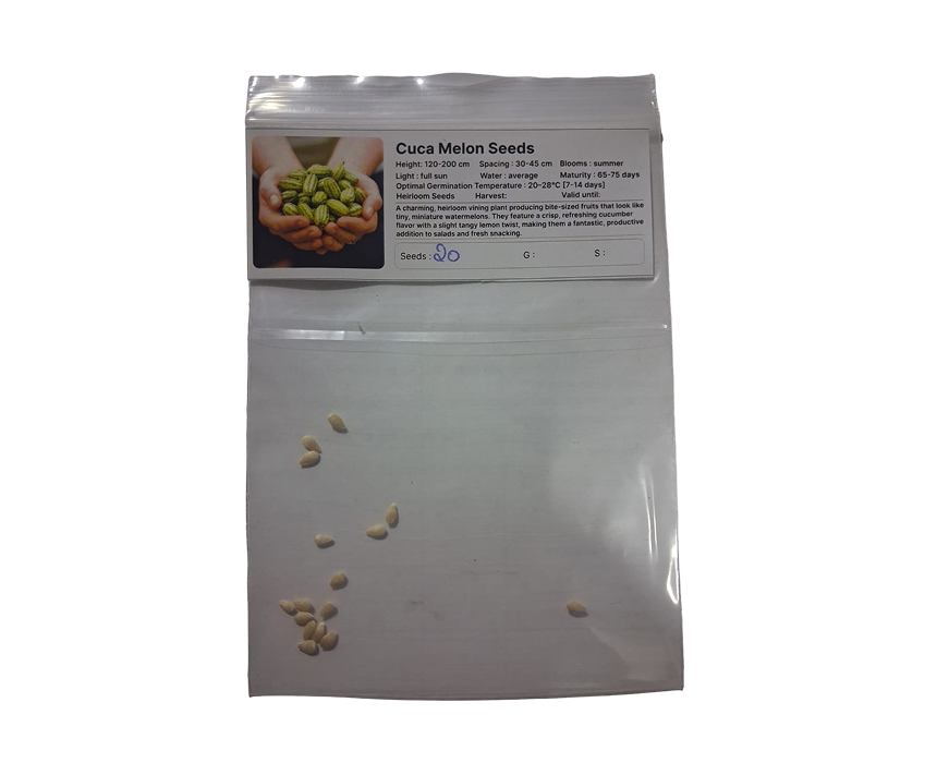 Cuca Melon Seeds