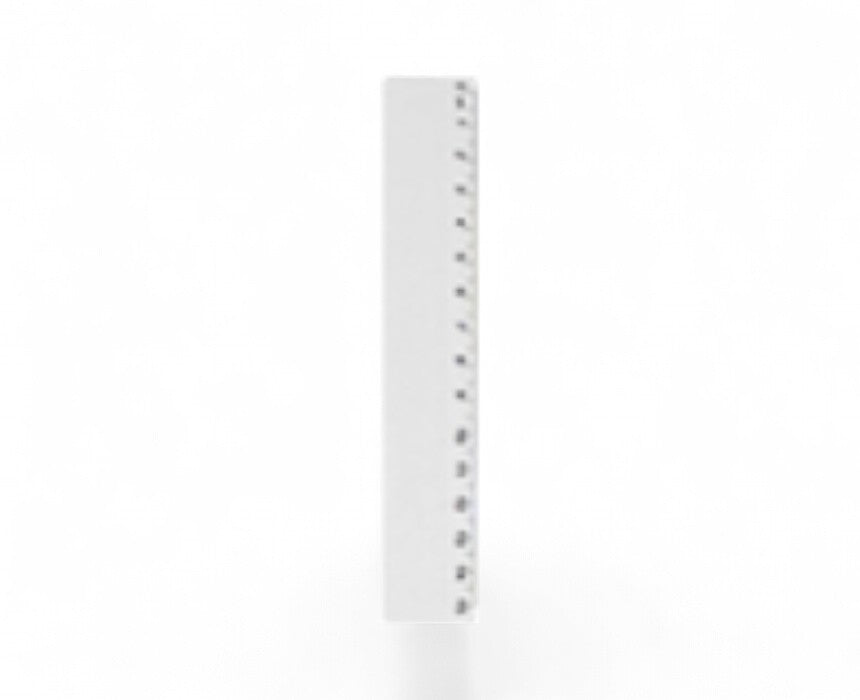 Clear Plastic Ruler 20 cm