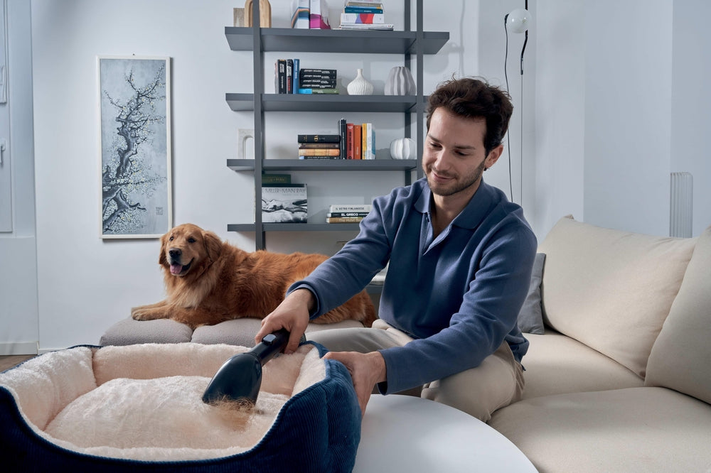 Hoover Heat Spot Carpet Cleaner