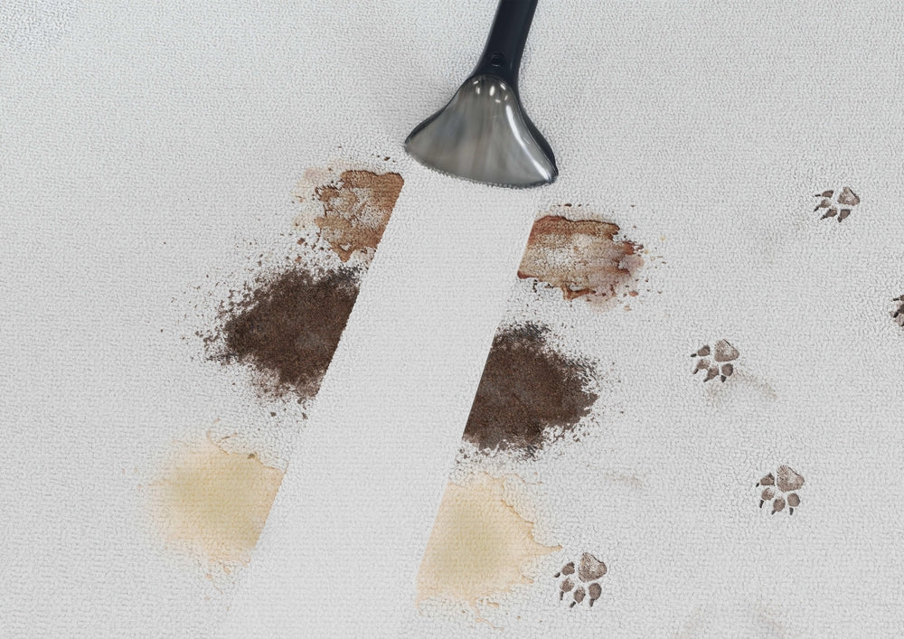 Hoover Heat Spot Carpet Cleaner