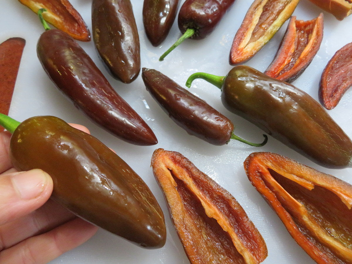 Brown Jalapeno Pepper Seeds
