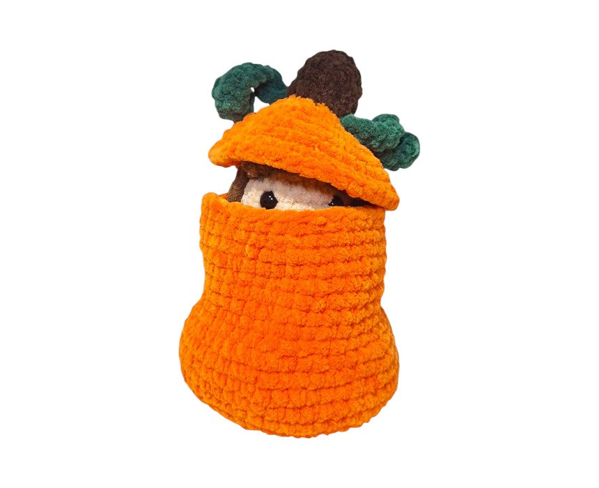 Pumpkin Fairy House Container