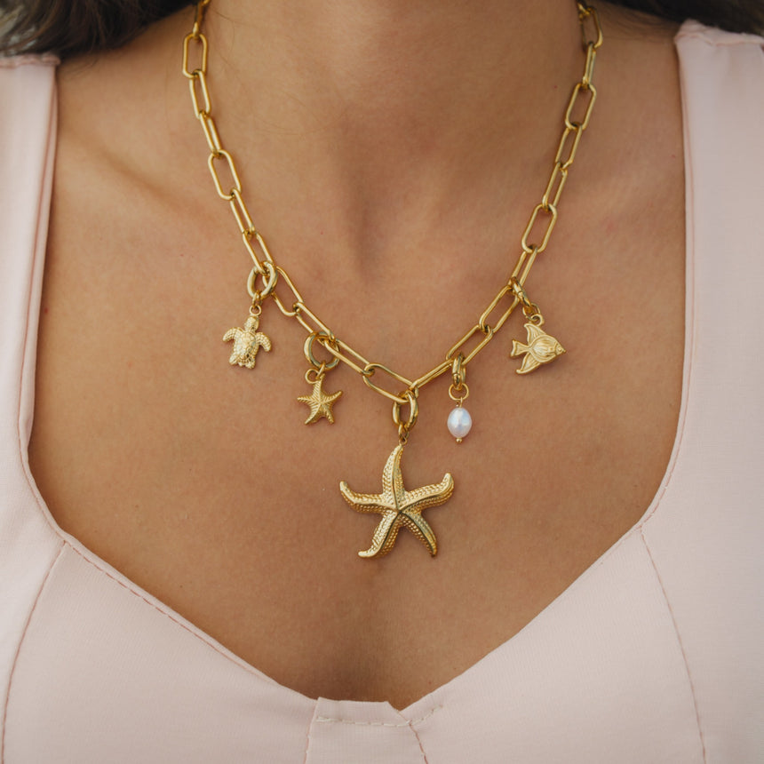 Etoile de mer Charm