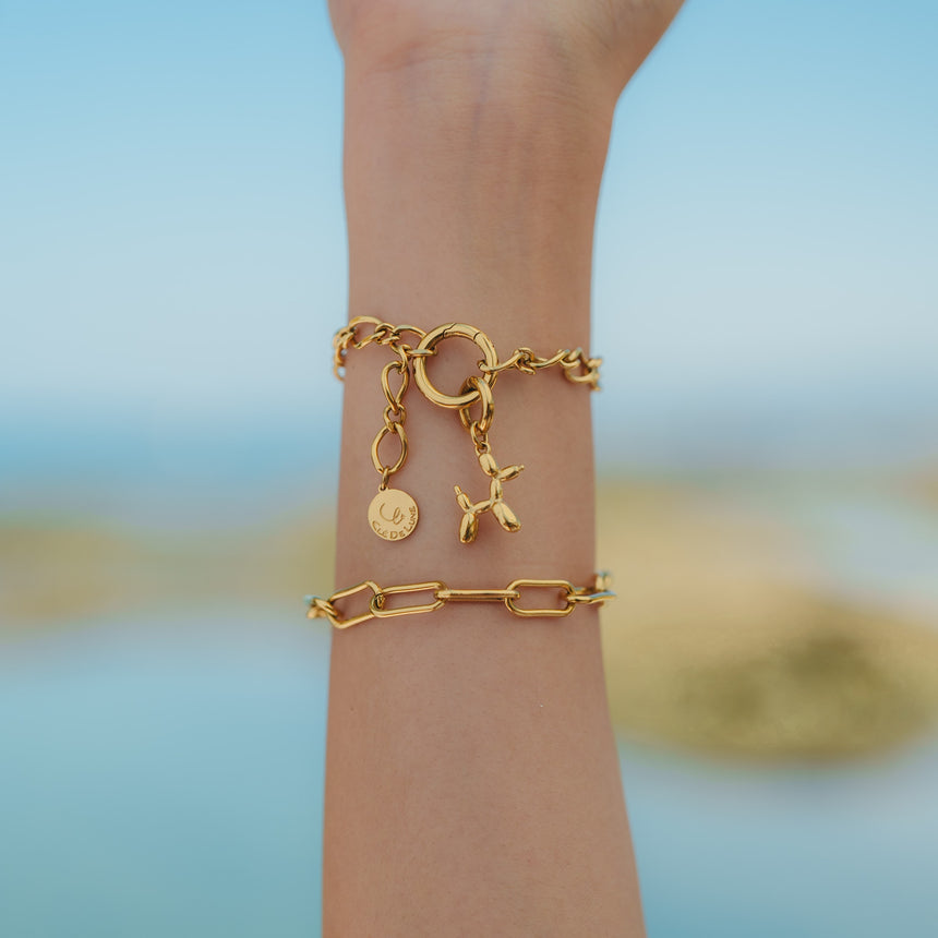 Bare Bracelet Chains of Connection