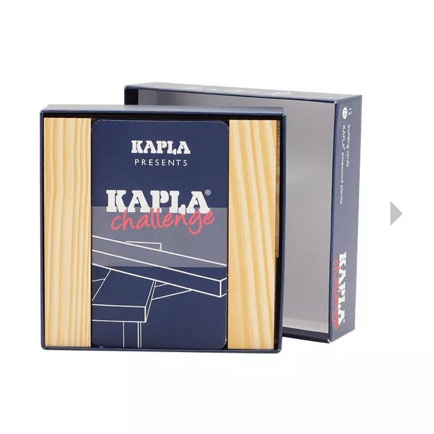 Kapla challenge 16 planks by Kapla