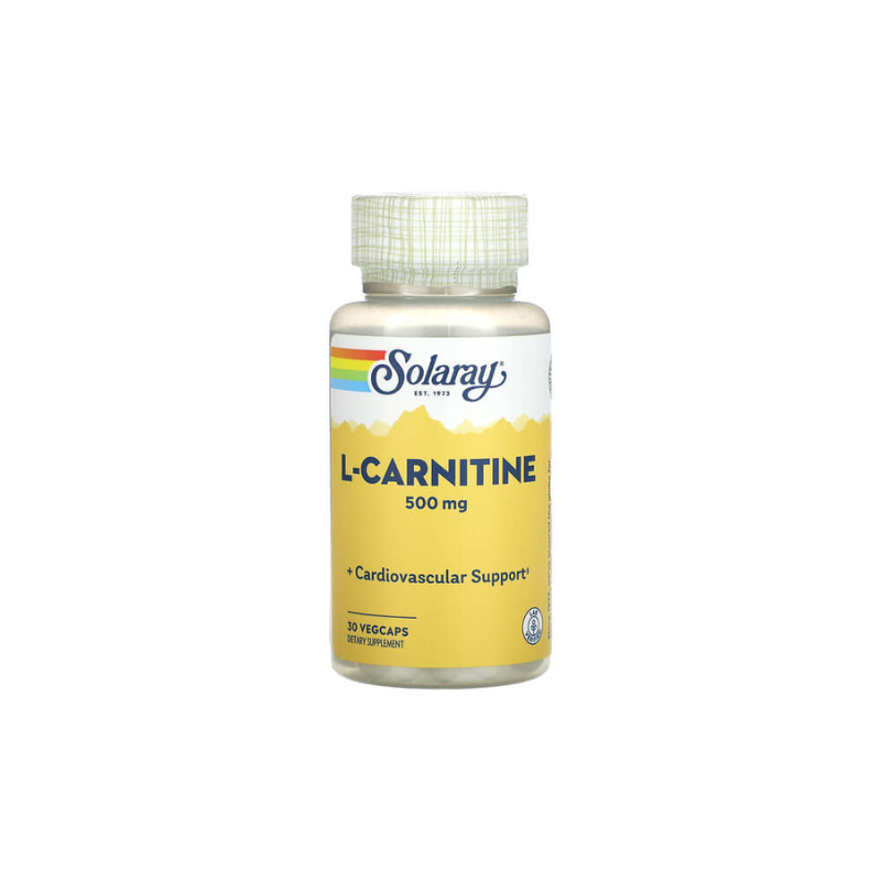 L-Carnitine 500mg Supplement