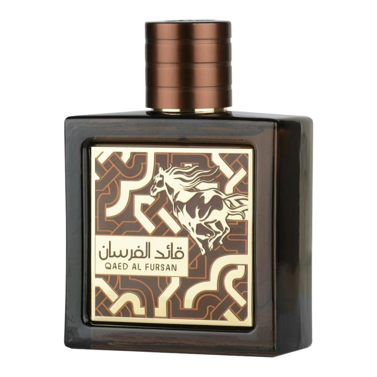 Qaed Al Fursan Untamed