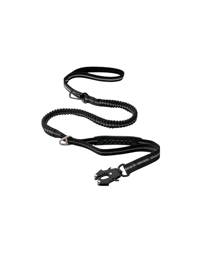 Tactical bungee dog leash in black with seatbelt clip and control handle