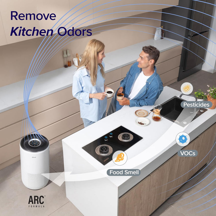 Levoit Air Purifier