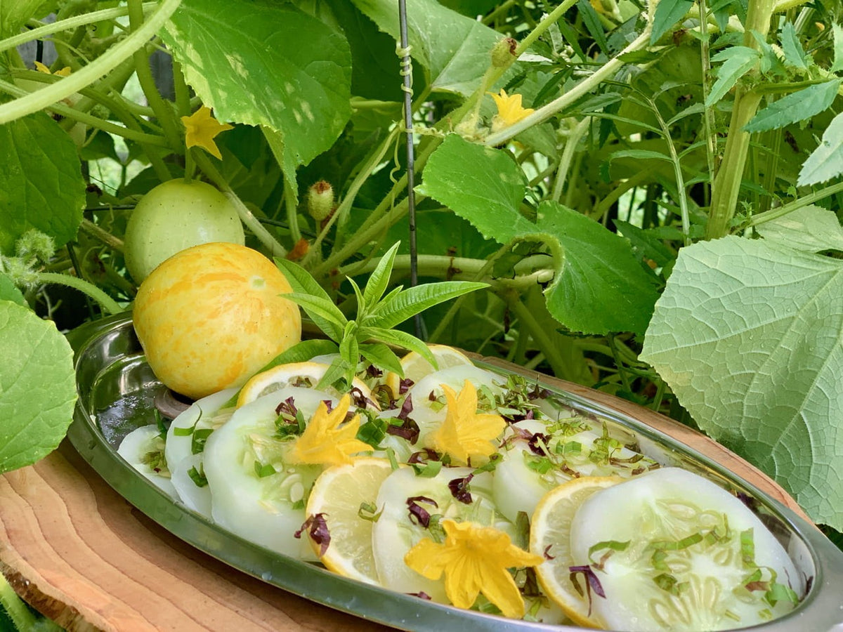 Lemon Cucumber Seeds Heirloom