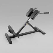 Matrix Back Extension Bench
