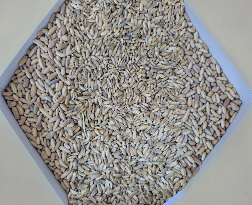Milk Thistle Seeds