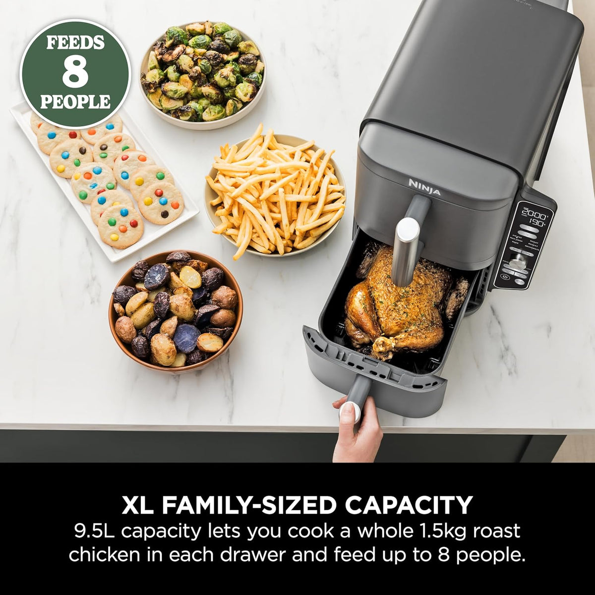 Ninja Double Stack XL Air Fryer