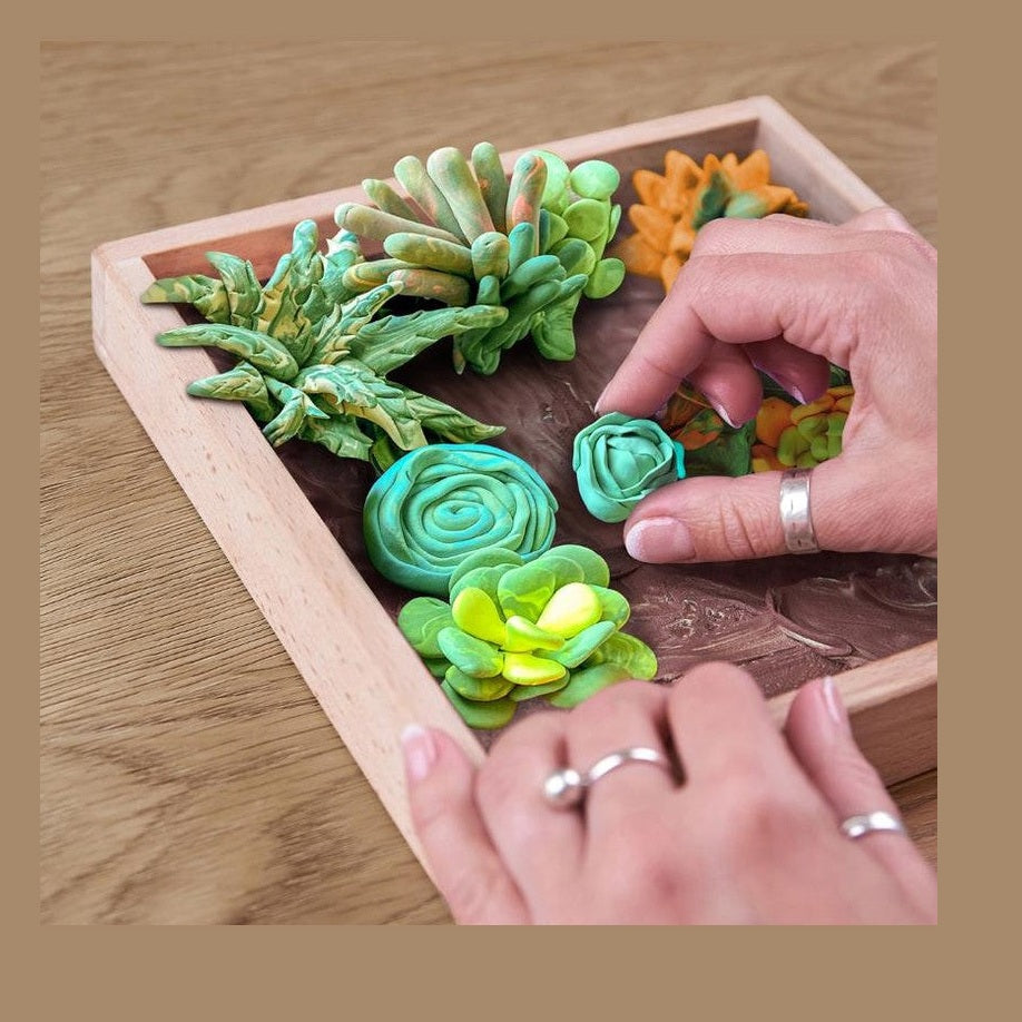 OKTO Wood&Craft DIY Succulents by OKTO