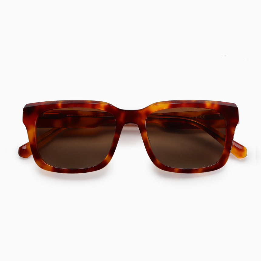 Polo Exchange Sunglasses - OZ2067L