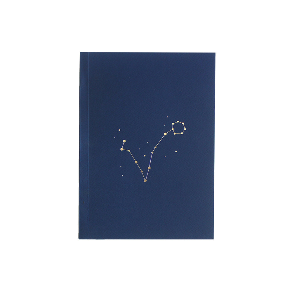 Notebook: Pisces Zodiac Sign