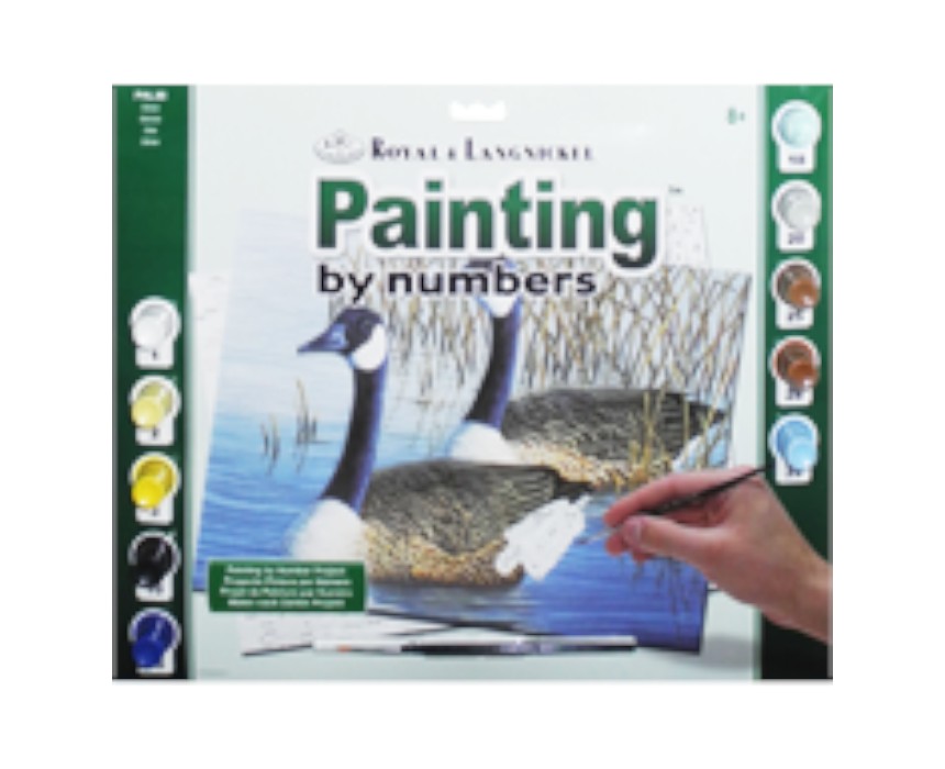 Geese Painting by Numbers
