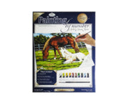 Horses Painting by Numbers