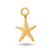 Coastal Star Charm