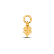 Luck Keeper Charm